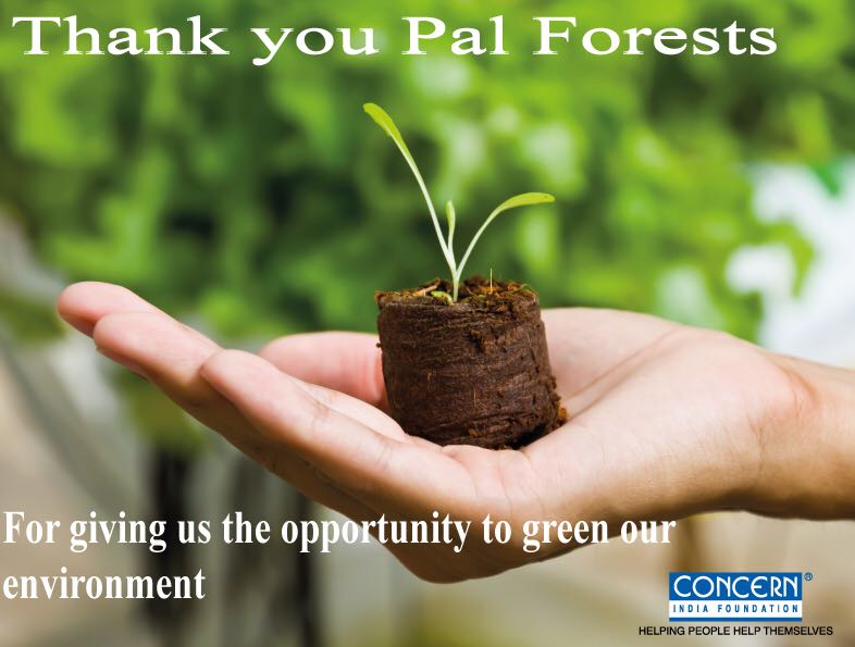 Thank You from Concern India Foundation