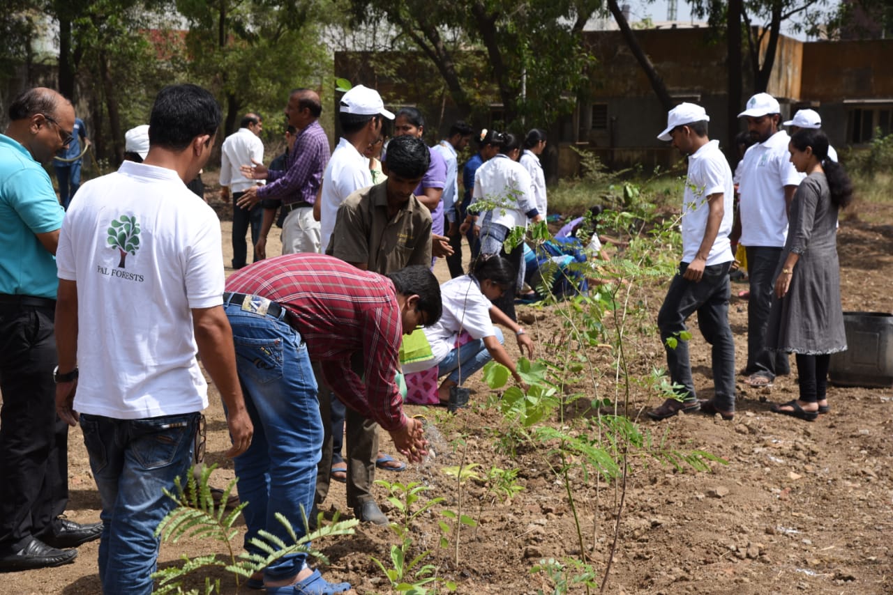 TMRCT plantation on 5th May 2019 by Tata Steel Wires division along with Pal forests Team