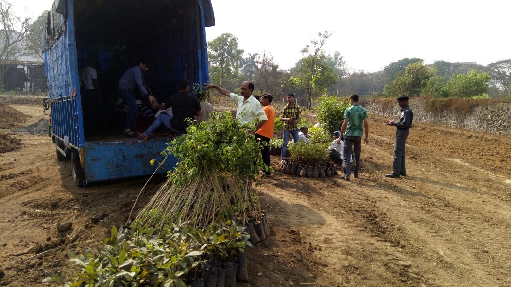 Unloading saplings at OS-20